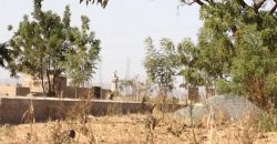 Terrain à vendre à Faladie Terrain à vendre à Faladie