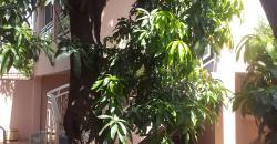 Villa avec piscine à louer à BACODJICORONI ACI, Bamako Villa avec piscine à louer à BACODJICORONI ACI, Bamako