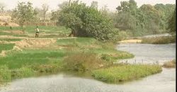 A louer : terrain plat à Bamako en bordure du fleuve et du marigot A louer : terrain plat à Bamako en bordure du fleuve et du marigot