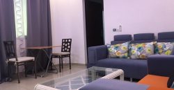 Appartement meublé F2 à louer à coté de l’ACI 2000 Appartement meublé F2 à louer à coté de l’ACI 2000