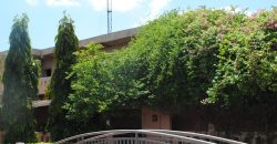 Grande maison avec piscine et jardins pour bureaux, entreprises, ONG Grande maison avec piscine et jardins pour bureaux, entreprises, ONG