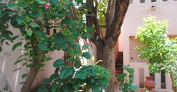 Grande maison avec piscine et jardins pour bureaux, entreprises, ONG Grande maison avec piscine et jardins pour bureaux, entreprises, ONG