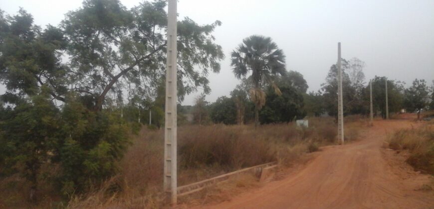 Terrain viabilisé 250 m² en titre foncier à vendre – Dorodougou, Bamako