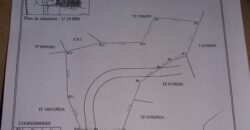 Terrain 2.48 HA A OUEST-FOIRE a Dakar/Senegal Terrain 2.48 HA A OUEST-FOIRE a Dakar/Senegal