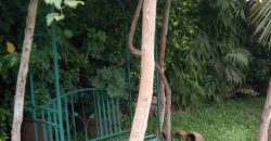 Villa de 2247 mètre carré au Almadie Dakar/Senegal Villa de 2247 mètre carré au Almadie Dakar/Senegal