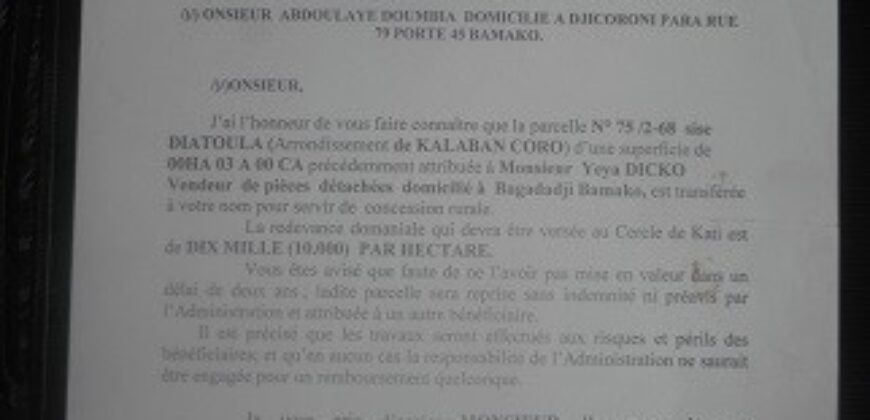 Terrain 300 m² en lettre d&rsquo;attribution à vendre – Diatoula, Kati