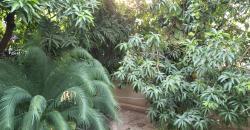 VILLA A LOUER A BACO DJOCORONI ACI VILLA A LOUER A BACO DJOCORONI ACI