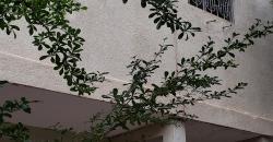 VILLA A LOUER A BACO DJOCORONI ACI VILLA A LOUER A BACO DJOCORONI ACI