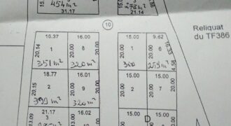 Terrain 300 m² en titre foncier à vendre – Banankoro, Sénou, Bamako