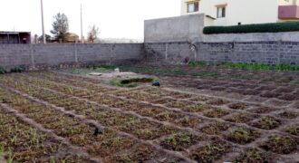 Terrain 400 m² en titre foncier à vendre – Sotuba ACI, Bamako
