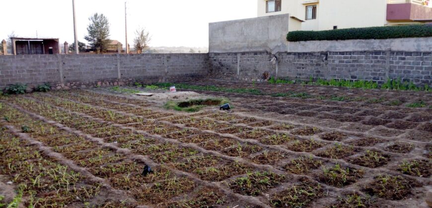 Terrain 400 m² en titre foncier à vendre – Sotuba ACI, Bamako