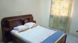 Appartement meublé 2 chambres à louer – Hippodrome, Bamako