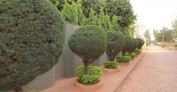 Appartement Meublé à louer à la Cité du Niger Appartement Meublé à louer à la Cité du Niger