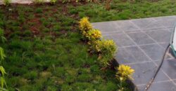 Nouvelle Maison à vendre à Samaya Nouvelle Maison à vendre à Samaya