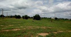 VENTE DE 70 PARCELLES DE TERRAIN 15/20 A TABACORO VENTE DE 70 PARCELLES DE TERRAIN 15/20 A TABACORO