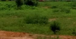 VENTE DE 70 PARCELLES DE TERRAIN 15/20 A TABACORO VENTE DE 70 PARCELLES DE TERRAIN 15/20 A TABACORO