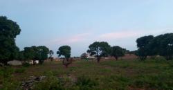 PARCELLES DE TERRAINS 12,5/20 A VENDRE A KABALA BAMAKO NON LOIN DE L’UNIVERSITÉ PARCELLES DE TERRAINS 12,5/20 A VENDRE A KABALA BAMAKO NON LOIN DE L’UNIVERSITÉ