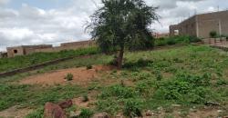 Terrain a vendre a sirakoro EDM Terrain a vendre a sirakoro EDM