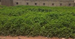 Terrain a vendre a Niamana poste Terrain a vendre a Niamana poste