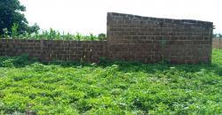 Terrain de 1 hectare en titre foncier à vendre à Farako Mountougoula Terrain de 1 hectare en titre foncier à vendre à Farako Mountougoula