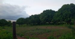 95 parcelles de 250 m² à vendre – Kabala, Bamako 95 parcelles de 250 m² à vendre – Kabala, Bamako