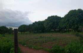 95 parcelles de 250 m² à vendre – Kabala, Bamako
