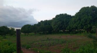 95 parcelles de 250 m² à vendre – Kabala, Bamako