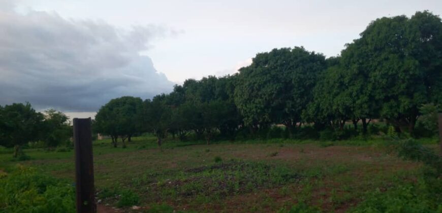 95 parcelles de 250 m² à vendre – Kabala, Bamako