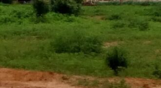 70 parcelles de 300 m² (15/20) à vendre – Tabacoro, Bamako