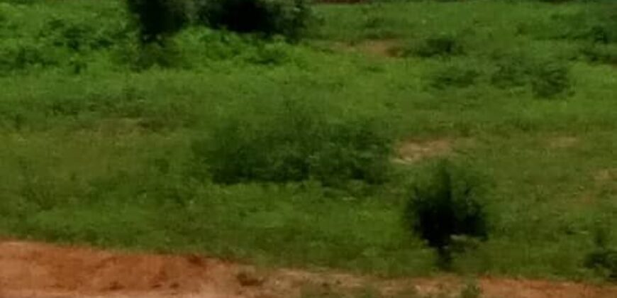 70 parcelles de 300 m² (15/20) à vendre – Tabacoro, Bamako