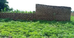 Terrain de 1 hectare en titre foncier à vendre – Farako Mountougoula Terrain de 1 hectare en titre foncier à vendre – Farako Mountougoula