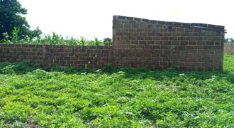 Terrain de 1 hectare en titre foncier à vendre – Farako Mountougoula