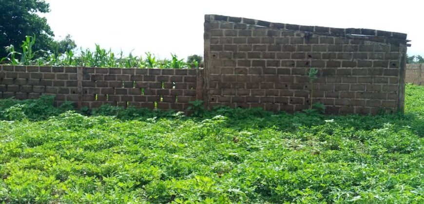 Terrain de 1 hectare en titre foncier à vendre – Farako Mountougoula