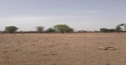 Terrain 250 m² en titre foncier à vendre – Kabala terminus Terrain 250 m² en titre foncier à vendre – Kabala terminus