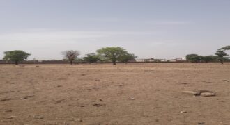 Terrain 250 m² en titre foncier à vendre – Kabala terminus