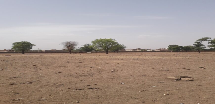 Terrain 250 m² en titre foncier à vendre – Kabala terminus