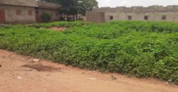 Terrain 750 m² (25/30) à vendre – Niamana Poste, Bamako Terrain 750 m² (25/30) à vendre – Niamana Poste, Bamako