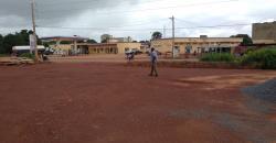 Vente de Terrain de 2 hectares a Samaya au bord du goudron Vente de Terrain de 2 hectares a Samaya au bord du goudron