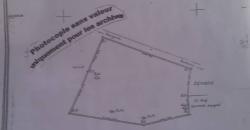 Terrain de 5 hectares a vendre a Katibougou Terrain de 5 hectares a vendre a Katibougou