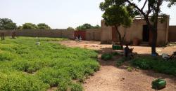 Terrain 1 hectare et demi a vendre a Tienfala sur la route de Koulikoro Terrain 1 hectare et demi a vendre a Tienfala sur la route de Koulikoro