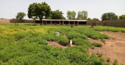 Terrain de 1,5 hectare à vendre – Tienfala, route de Koulikoro Terrain de 1,5 hectare à vendre – Tienfala, route de Koulikoro