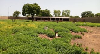 Terrain de 1,5 hectare à vendre – Tienfala, route de Koulikoro