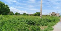 TERRAIN À VENDRE À SAMAYA AVEC TITRE FONCIER TERRAIN À VENDRE À SAMAYA AVEC TITRE FONCIER