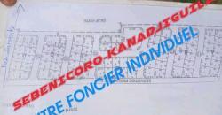 TERRAINS À VENDRE À KANADJIGUILA OUEZIN TERRAINS À VENDRE À KANADJIGUILA OUEZIN