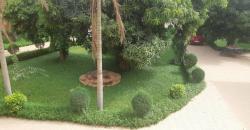 Villa R+2 avec piscine a louer ou a acheter a Sebenikoro Villa R+2 avec piscine a louer ou a acheter a Sebenikoro