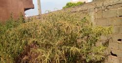 Terrain (parcelle ou lot) à vendre au Golf BACODJICORONI Terrain (parcelle ou lot) à vendre au Golf BACODJICORONI