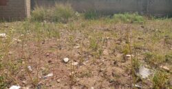 Terrain (parcelle ou lot) à vendre au Golf BACODJICORONI Terrain (parcelle ou lot) à vendre au Golf BACODJICORONI