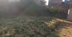 TERRAIN A VENDRE A FALADIE TERRAIN A VENDRE A FALADIE