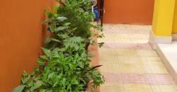 Duplex à vendre à Sotuba avec titre foncier Duplex à vendre à Sotuba avec titre foncier