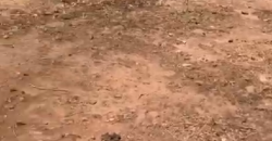 TERRAIN À VENDRE À MISSABOUGOU 20/20 TERRAIN À VENDRE À MISSABOUGOU 20/20